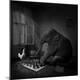 Premium Photographic Print