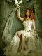 Premium Photographic Print