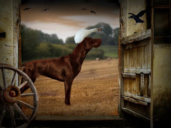 Photographic Print, , large
