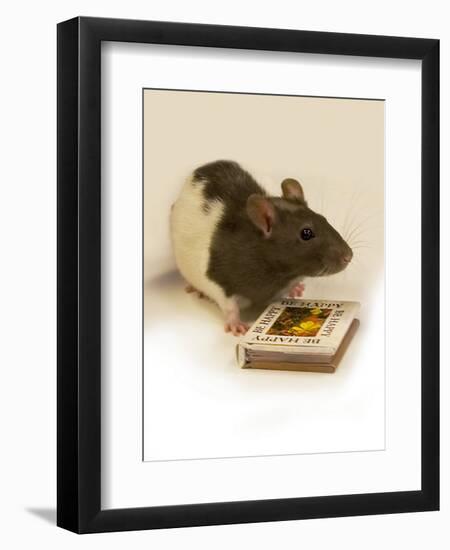 Photographic Print, , large