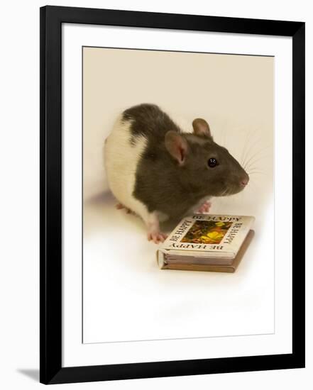 Photographic Print, , large