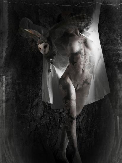 Photographic Print, , large