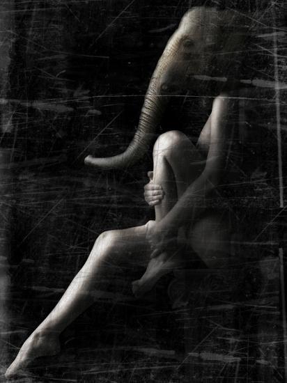 Photographic Print, , large