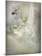 Premium Photographic Print