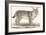 Lynx, 1850 (Engraving)-Louis Simon (1810-1870) Lassalle-Framed Giclee Print