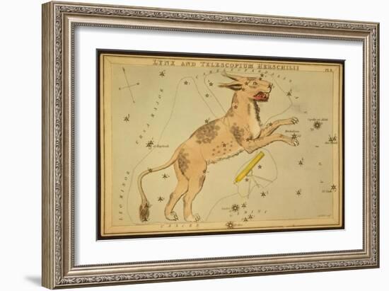 Lynx and Telescopium Herschelii, 1825-Science Source-Framed Giclee Print