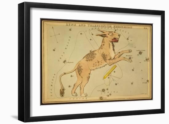 Lynx and Telescopium Herschelii, 1825-Science Source-Framed Giclee Print