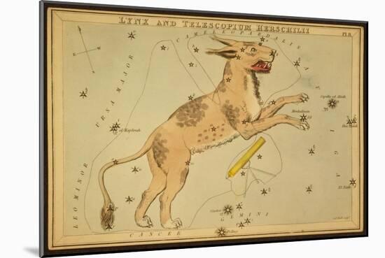 Lynx and Telescopium Herschelii, 1825-Science Source-Mounted Giclee Print