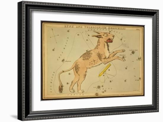 Lynx and Telescopium Herschelii, 1825-Science Source-Framed Giclee Print