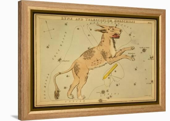 Lynx and Telescopium Herschelii, 1825-Science Source-Framed Premier Image Canvas