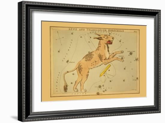 Lynx and Telescopium Herschilii-Aspin Jehosaphat-Framed Art Print