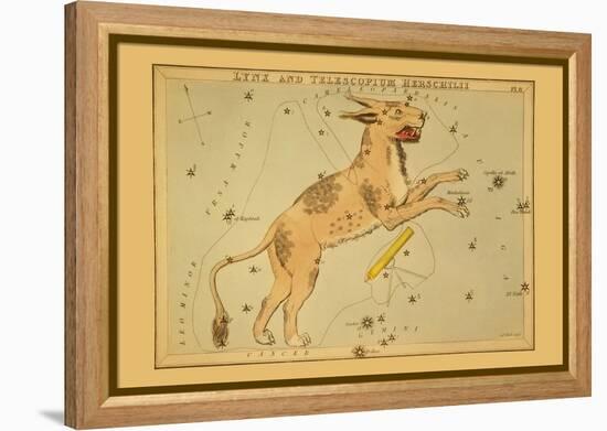 Lynx and Telescopium Herschilii-Aspin Jehosaphat-Framed Stretched Canvas