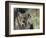 Lynx in Denali National Park, Alaska, USA-Dee Ann Pederson-Framed Photographic Print