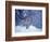 Lynx in the Snowy Foothills of the Takshanuk Mountains, Alaska, USA-Steve Kazlowski-Framed Photographic Print