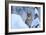 Lynx in Winter-Reiner Bernhardt-Framed Photographic Print