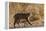 Lynx Rufus Baileyi, Bosque Del Apache National Wildlife Refuge, New Mexico-Maresa Pryor-Framed Premier Image Canvas