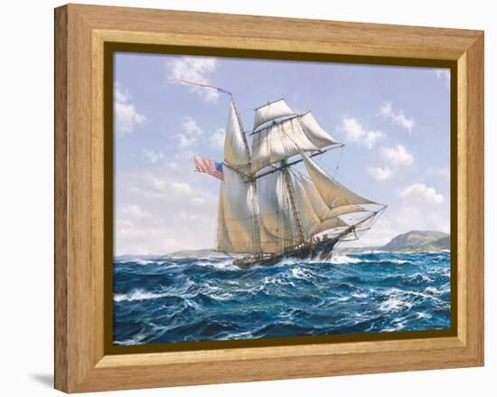 Lynx U.S. Privateer-Roy Cross-Framed Stretched Canvas