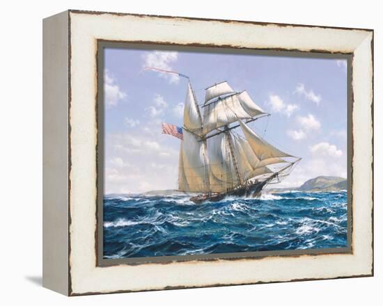 Lynx U.S. Privateer-Roy Cross-Framed Stretched Canvas