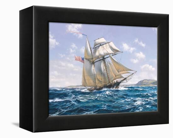 Lynx U.S. Privateer-Roy Cross-Framed Stretched Canvas