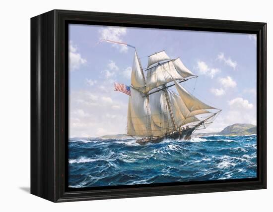 Lynx U.S. Privateer-Roy Cross-Framed Stretched Canvas