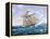 Lynx U.S. Privateer-Roy Cross-Framed Stretched Canvas