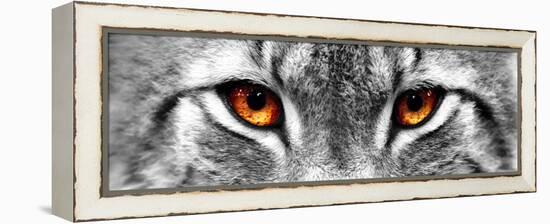 Lynx-PhotoINC-Framed Premier Image Canvas