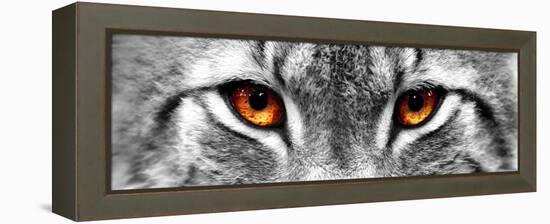 Lynx-PhotoINC-Framed Premier Image Canvas