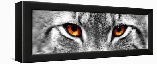 Lynx-PhotoINC-Framed Premier Image Canvas