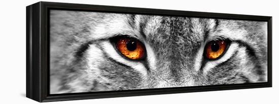 Lynx-PhotoINC-Framed Premier Image Canvas
