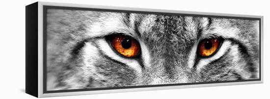 Lynx-PhotoINC-Framed Premier Image Canvas