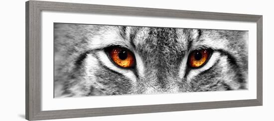 Lynx-PhotoINC-Framed Photographic Print