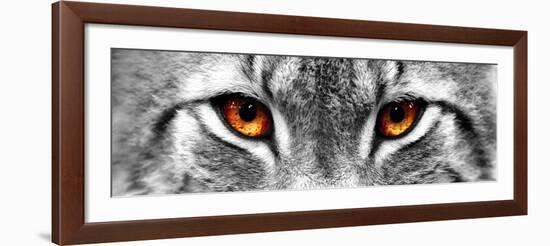 Lynx-PhotoINC-Framed Photographic Print