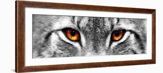 Lynx-PhotoINC-Framed Photographic Print