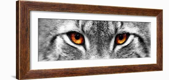 Lynx-PhotoINC-Framed Photographic Print