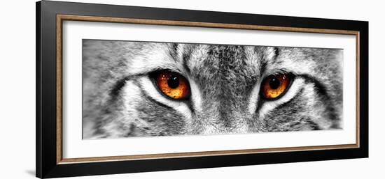 Lynx-PhotoINC-Framed Photographic Print