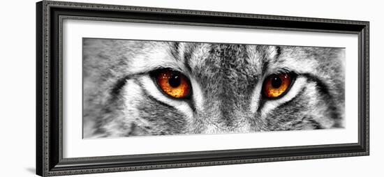 Lynx-PhotoINC-Framed Photographic Print