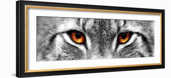 Lynx-PhotoINC-Framed Photographic Print