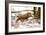 Lynx-Reiner Bernhardt-Framed Photographic Print