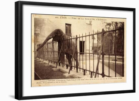Lyon Rhône, Parc De La Tete D'Or, Elephant, Gehege-null-Framed Giclee Print