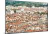 Lyon Rooftops I-Erin Berzel-Mounted Photographic Print