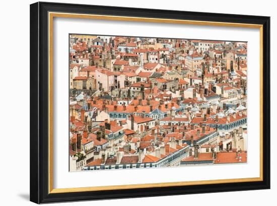 Lyon Rooftops II-Erin Berzel-Framed Photographic Print