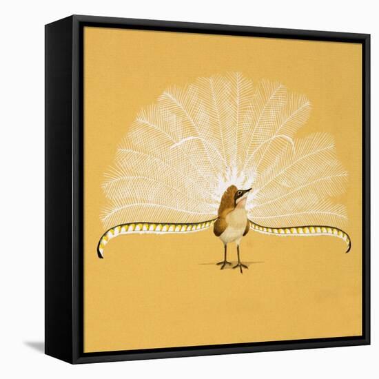 Lyre Bird-null-Framed Premier Image Canvas