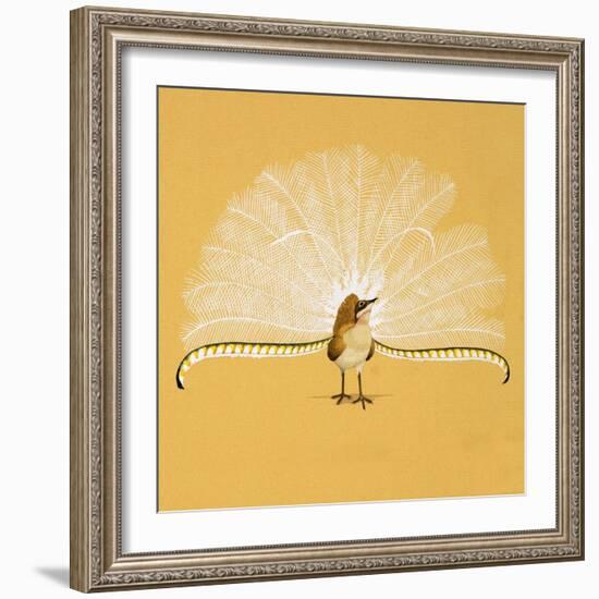 Lyre Bird-null-Framed Giclee Print