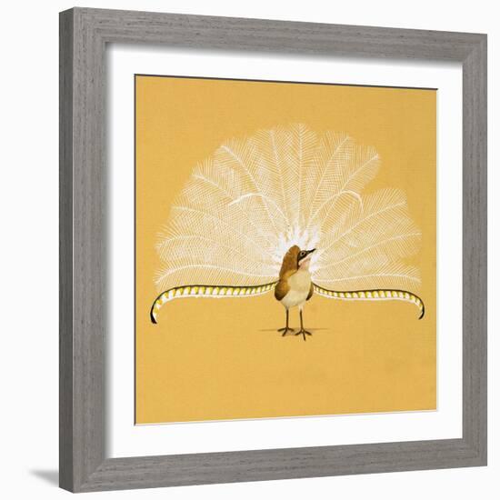 Lyre Bird-null-Framed Giclee Print