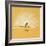 Lyre Bird-null-Framed Giclee Print