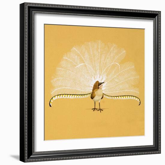 Lyre Bird-null-Framed Giclee Print