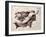 Lyre Of Orpheus-Eduard Ritter Von Engerth-Framed Giclee Print