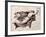 Lyre Of Orpheus-Eduard Ritter Von Engerth-Framed Giclee Print