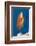 Lyretail Anthias (Pseudanthias Squamipinnis)-Reinhard Dirscherl-Framed Photographic Print