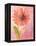 Lyrical Flower 1-Robbin Rawlings-Framed Stretched Canvas